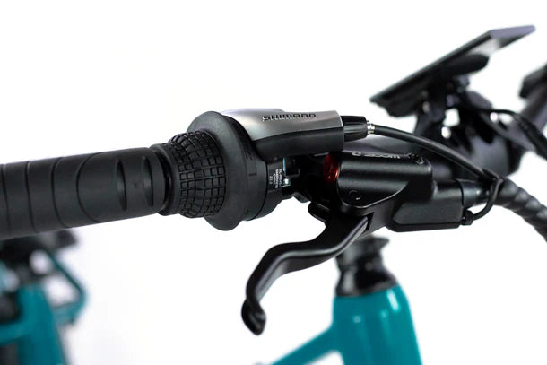 Cargo eBike