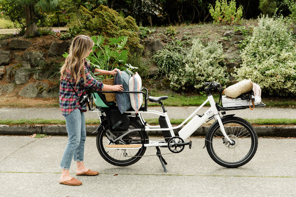 Cargo eBike
